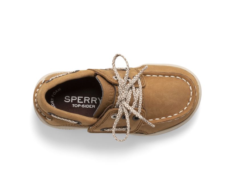 Zapatos del Barco Sperry Gamefish Junior Marrones Oscuro | QAPTBN234