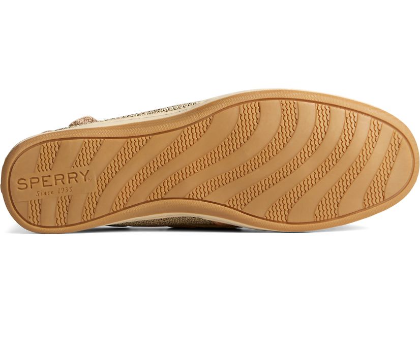 Zapatos del Barco Sperry Koifish Beige | FQXTJY503