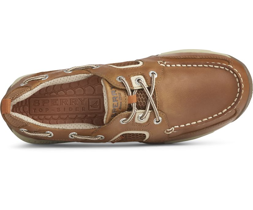 Zapatos del Barco Sperry Sea Kite Sport Moc Marrones Oscuro | RPDLAS193