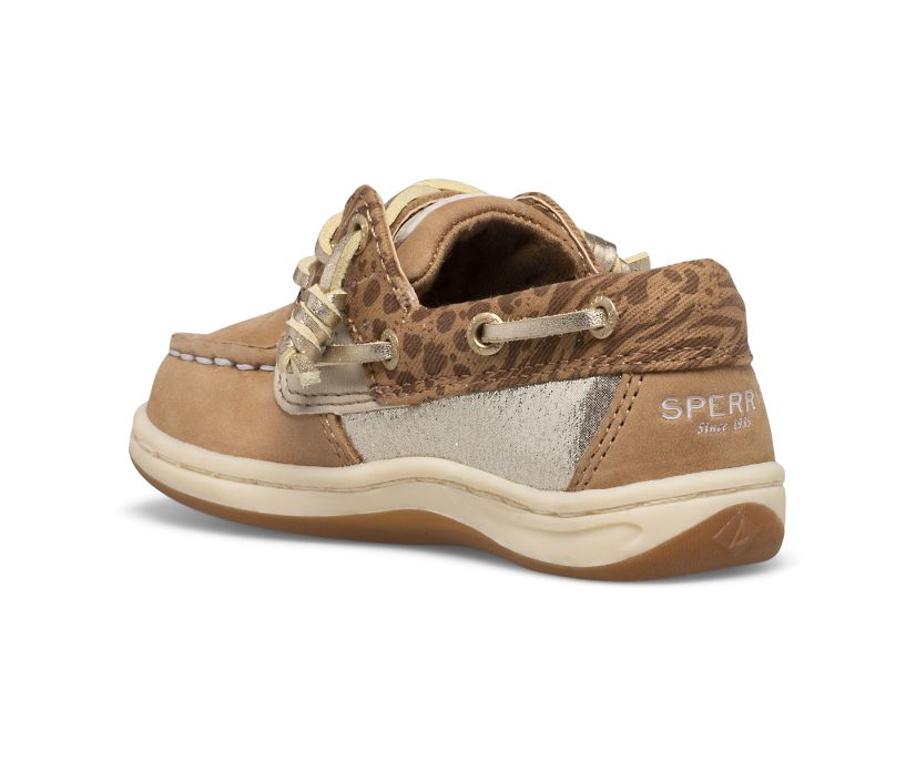 Zapatos del Barco Sperry Songfish Junior Marrones | AZKIQR870