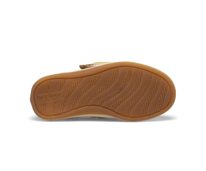 Zapatos del Barco Sperry Songfish Junior Marrones | AZKIQR870