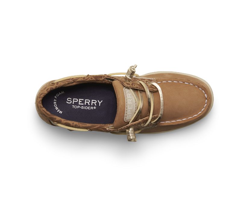 Zapatos del Barco Sperry Songfish Marrones | VEQYJK794