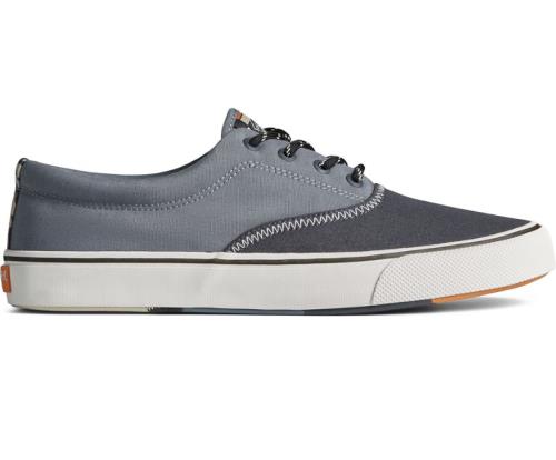 Zapatillas Sperry Striper II CVO Harmony Gris | CMIUKT458