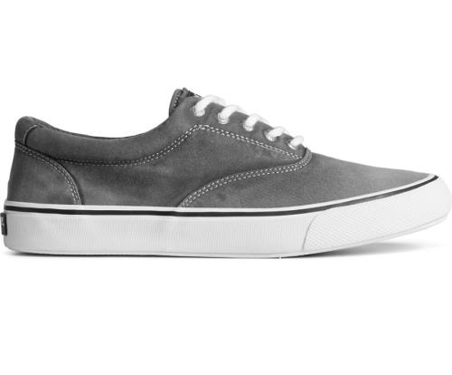 Zapatillas Sperry Striper II Ombre CVO Negras | QVUXJF921