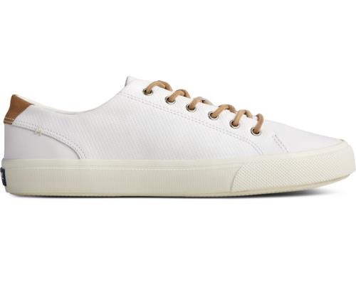 Zapatillas Sperry Striper PLUSHWAVE Blancas | VQUTPC761